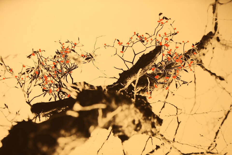 11번째 정상기특별초대전에 전시중인 한라산의 붉은 겨우살이 모습