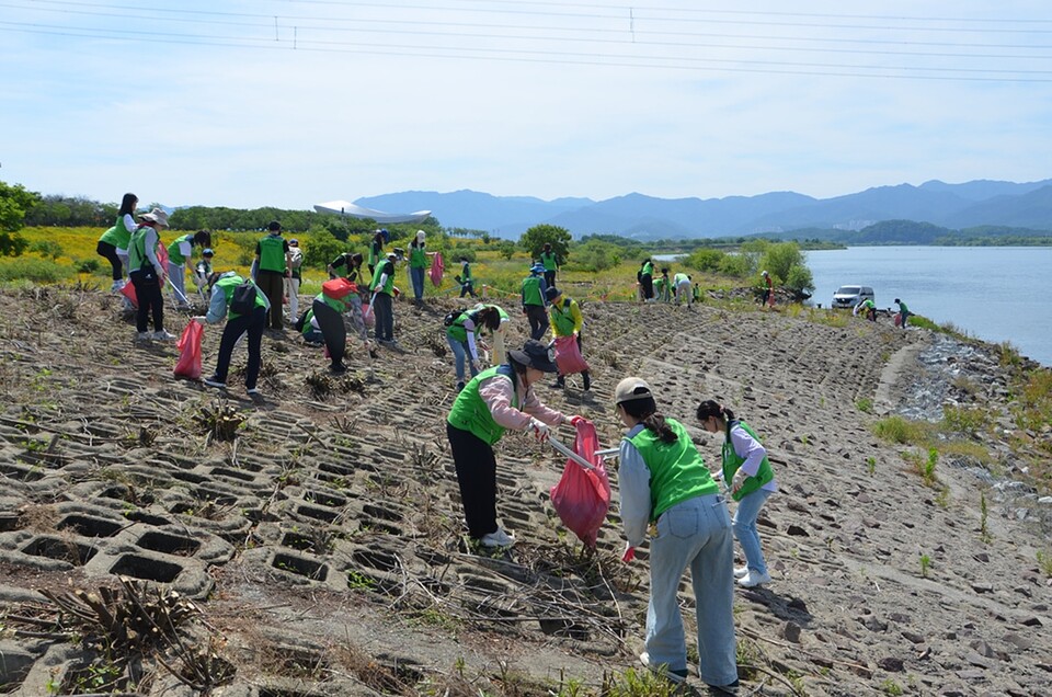 자원봉사자들이 낙동강 수변의 쓰레기를 미리 준비한 포대에 수거하고 있다.